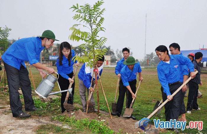 Thanh niên tình nguyện trồng cây